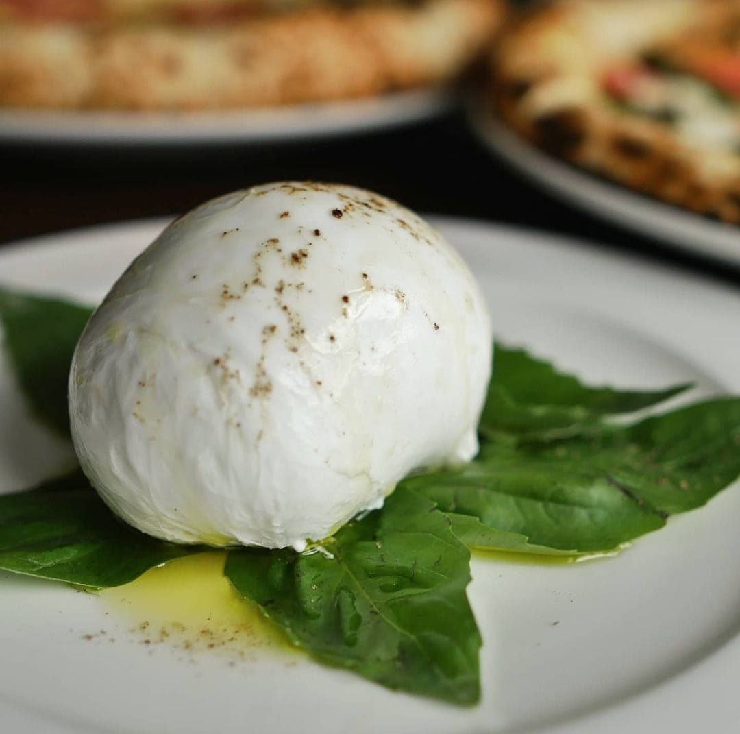 Fresh Buffalo Mozzarella